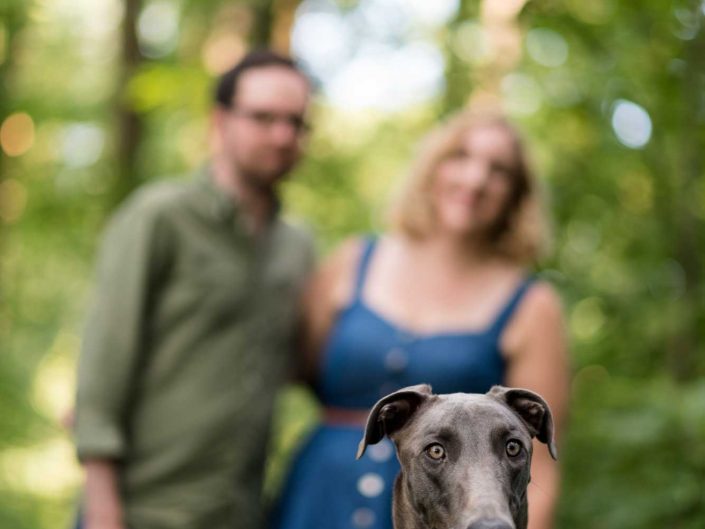 Love Tales - Elvire Van Ooteghem - verlovingsshoot-loveshoot-bos-hond-leuven-1