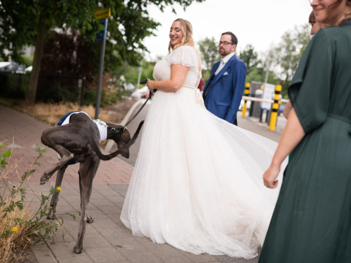trouwfotograaf huwelijksfotograaf leuven de hoorn